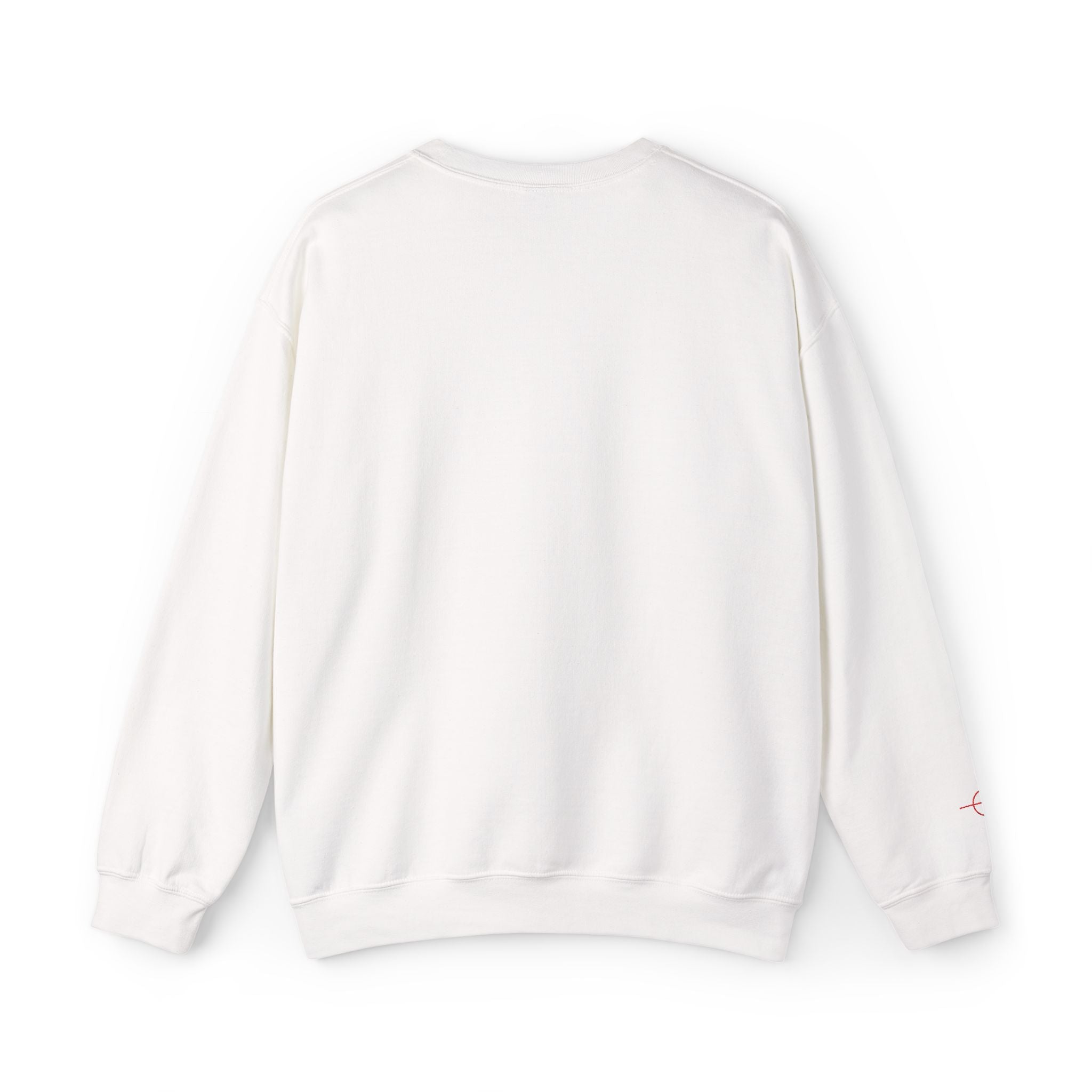USA26 Embroidered Pullover