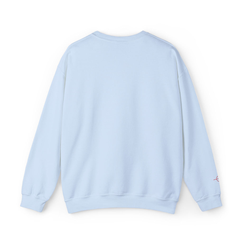 USA26 Embroidered Pullover